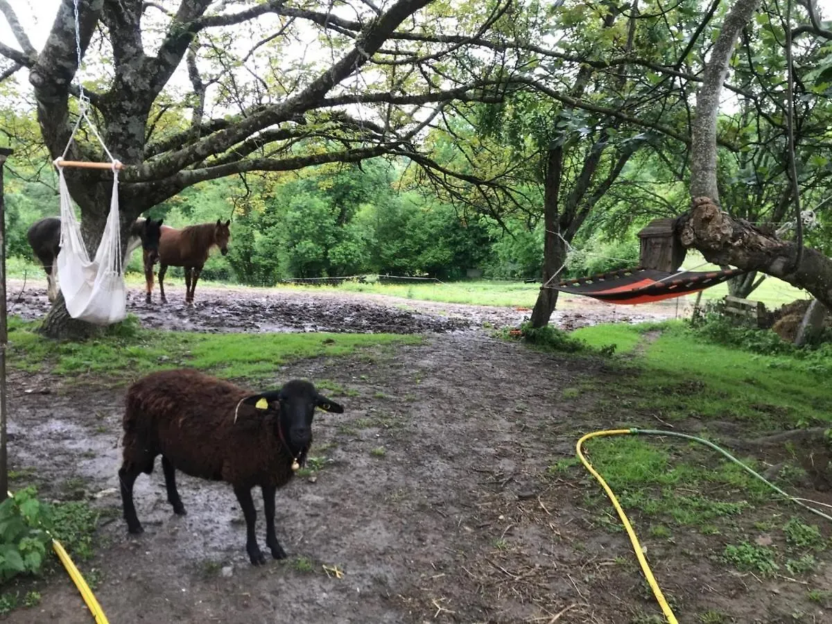 Appartement Un petit coin de bonheur au ranch à Betchat France