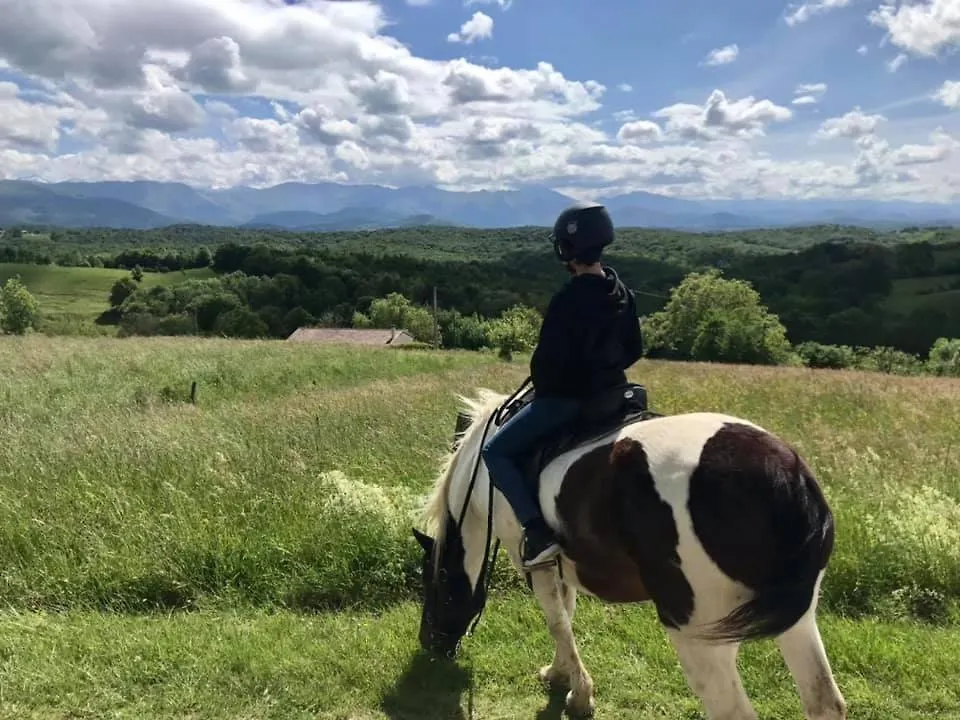 Appartement Un petit coin de bonheur au ranch à Betchat