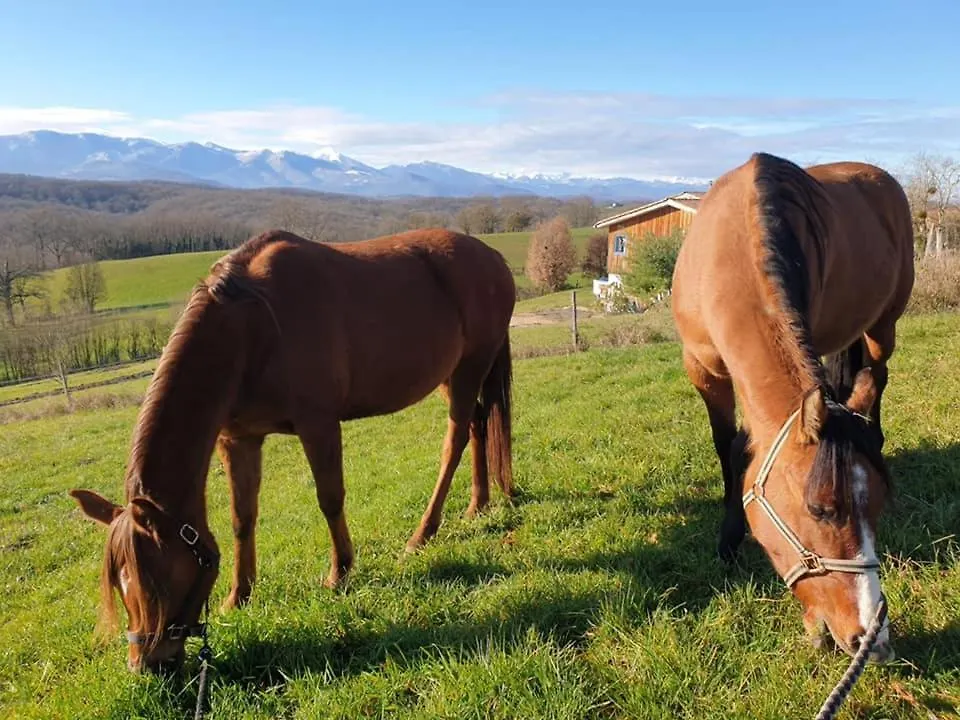 Séjour chez l'habitant Appartement Un petit coin de bonheur au ranch à Betchat