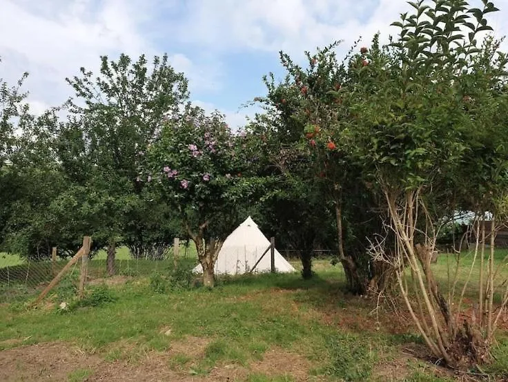 Appartement Un petit coin de bonheur au ranch à Betchat 0*,  France